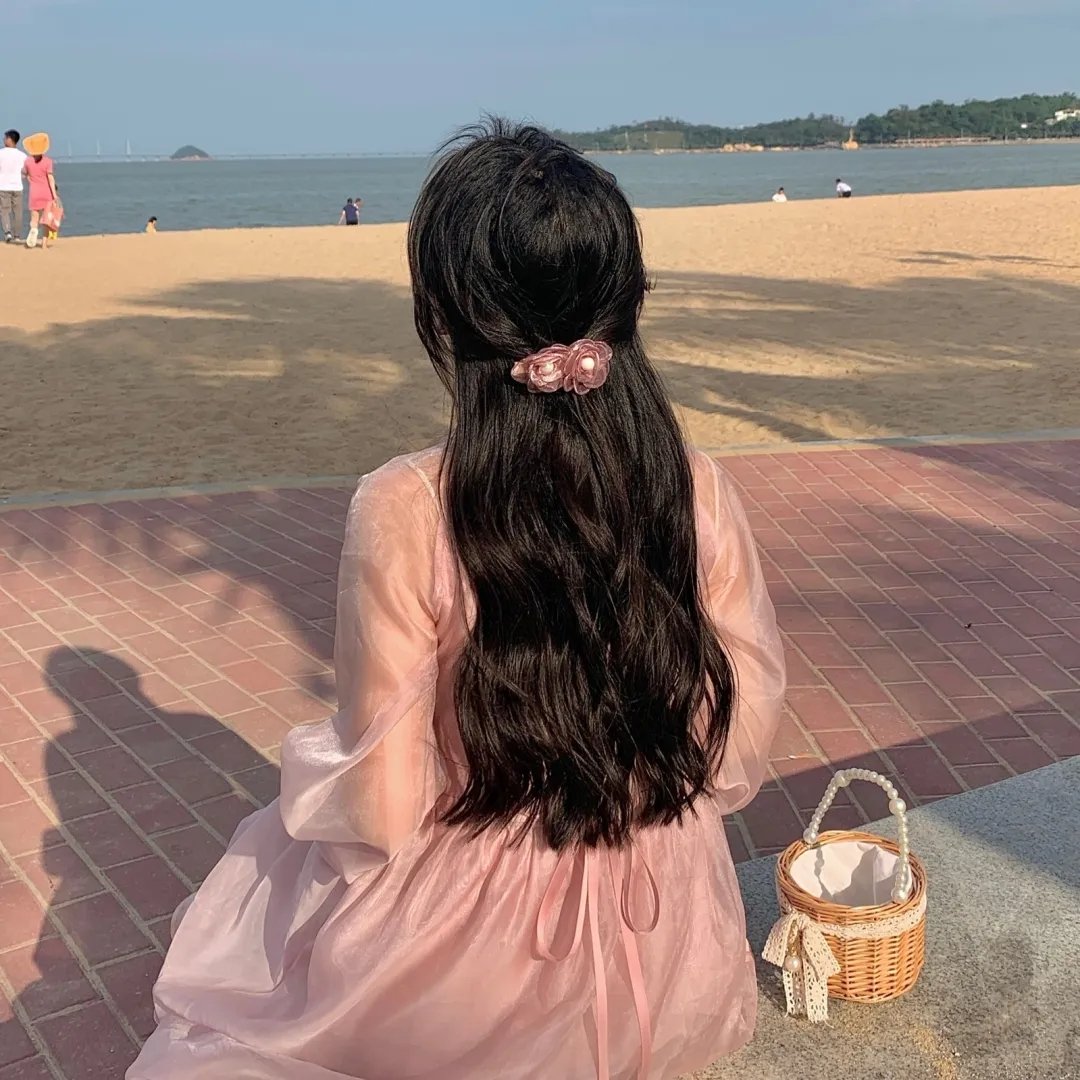 阿基里斯与龟