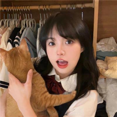 鱼与猫